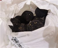 義大利進口松露鎘超標 不合格紀錄廠逐批查驗