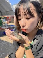 義竹農特產展 誕生2天鱷魚寶寶有牙咬人不痛超萌