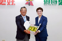 日本前橋市台灣友好議員聯盟訪台南 深化交流
