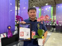 台灣花卉上千品種公開推介 獨家鮭魚粉蘭花首秀