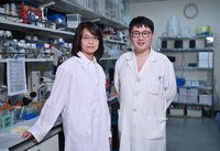 北榮與陽明交大合作 成功分化類視網膜神經節細胞