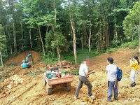 南庄山區遭濫墾  警空拍揪男子盜伐林木變賣