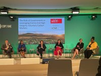 COP28熱議自願性碳市場 學者建議台灣先觀察