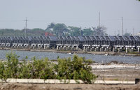 防假養殖真種電 經部修法要求業者先提綠能設施容許