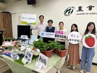 草莓炭疽病快篩箱發表 現地操作2小時檢測可出爐