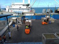 台斐諮商卸魚轉載增萊武卡港  方便加工處理