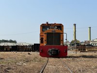 迎甘蔗採收期  全台僅存五分車啟航穿梭雲林田間