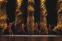 中信新舞臺藝術節壓軸  寇克舞團「治癒」首演