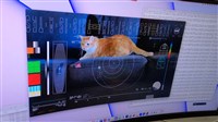NASA以雷射從深空傳回高畫質影片 選用貓追光點有含意[影]