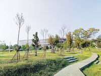 中市推全民植樹 矽品中央公園打造低海拔常綠園區