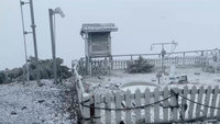 玉山主峰風口降入冬初雪 步道結冰濕滑