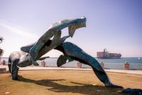 離海最近公共藝術 西子灣「海洋之舞」3鯨飛躍