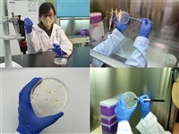 紐西蘭乳品將零關稅  畜試所籲用快檢術精進品管