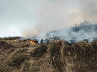 竹縣石鹿部落火警 燃燒面積達1公頃殘火處理中