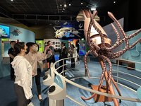科博館全新「奇幻自然」展 手動操作機械魷魚超吸睛