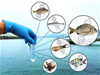 國海院發布環境DNA資料集 有助科研及海洋保育