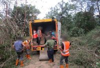 工人修剪路樹趁機竊取國有相思木變賣  7嫌送辦