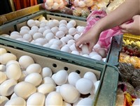 中元後雞蛋供給量增加  蛋價每台斤降2元