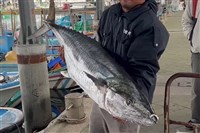 重36公斤巨型土魠魚上鉤 台南釣客賺到大紅包