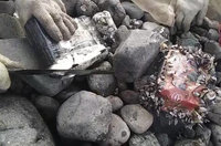 向大海致敬淨灘 澎湖民眾拾獲毒品漂流物