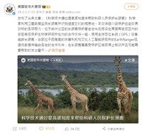 美使館「長頸鹿事件」後 微博審查監控趨嚴