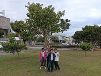 以樹養球 台東豐里國小學童踢出足球夢