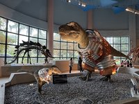 科博館恐龍換新衣迎春 國資圖智慧館員還可陪聊天