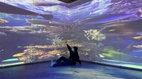 屏東熱博「魚影秘境」海底世界 展示104缸觀賞魚