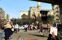 埃及不到一年增逾百萬人口 總統塞西：恐致災難後果