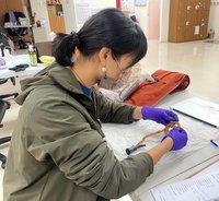 烏來泰博館修復10件文物  腦鼎見證樟腦油產業史