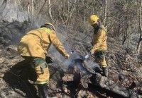 大甲溪林地火勢控制  初估延燒面積11公頃