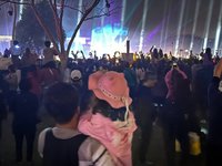 中台灣元宵燈會2天湧54萬人潮 4民眾擠落邊坡1擦傷