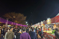 台灣燈會安平藝術燈區 過年後首波假日仍湧人潮