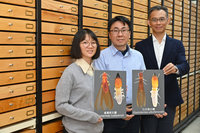 台灣白蟻家族添成員 興大研究團隊發現2新物種