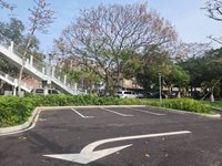 新竹市三民國小停車場 3/1起開放、每小時收30元