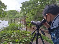 明緯企業員工清福壽螺 捐高倍望遠鏡守護濕地