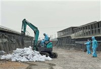 雲林禽流感再添2場 撲殺1萬5千餘隻家禽
