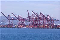 出口成長帶動　美1月貿易逆差縮小逾25%