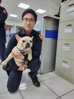 法鬥迷途跳上機車被載到派出所  基隆警找到飼主