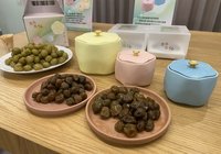 鶯歌陶博館推「春遊三鶯」  體驗梅醬餅乾、茶香