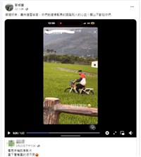 關山遊客租車嬉鬧騎輾稻禾PO網 農民氣憤報案警究辦