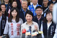 電價調漲 盧秀燕：建議排除大眾運輸及弱勢機構