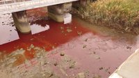 台中清水大排河水染紅 鄰近溝渠遭棄置紅色水性漆
