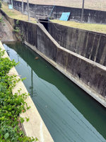 嘉市女曾蘭潭溢流道報案救人  卻在同處溺斃