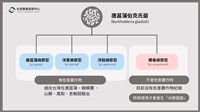 媒體報導台灣鳳梨杏鮑菇曾驗出米酵菌酸 查核中心：假訊息