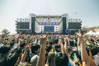 台灣祭登場 5大舞台、135組樂團接力嗨唱3天