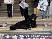 動團反對改良版山豬吊 疾呼修改野保法全面禁用