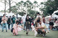 高市寵物嘉年華 試辦「不裝籠箱」購物遊程