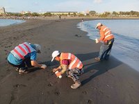 高雄旗津海灘現油污 海洋局：重質油污塊續釐清來源