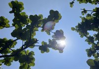 台東留意焚風發生  氣象站呼籲注意防曬